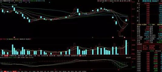300017網(wǎng)宿主營業(yè)務(wù)蓄勢待發(fā) 計(jì)算機(jī)軟硬件及配件技術(shù)開發(fā)引領(lǐng)新增長